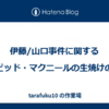 伊藤/山口事件に関するデイビッド・マクニールの生焼けの記事 (アイリッシュ・タイムズ紙)