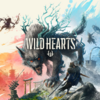 WILD HEARTS ～セール中で購入～