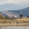 2023/01/28　若草山山焼き　薬師寺＆花火