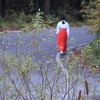 Sat. 　真山神社」・男鹿半島