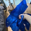 【5年5ヶ月ぶり】大切に使ってた西友の470円ビニール傘、昨日の強風でついに壊れる