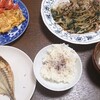 2017年11月9日(木) 夕食 20分