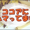 ココアにハマった私の最近のお気に入りの商品について話したい。