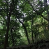 富谷山の新緑と高峯からの夜景（茨城県桜川市）