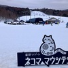 【24-25シーズン滑走12日目はネコママウンテン】