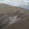 海まであともう少し