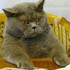 お兄ちゃんGood Job ❗、、、