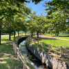 本日の風景から！その2 歌の森運動公園！