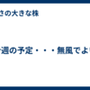 今週の予定・・・無風でよい
