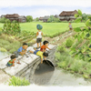 夏休みは友達みんなでザリガニ釣りに夢中♪