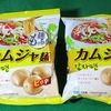 辛味の正体