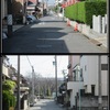 名古屋市南区天白町『天白神社』