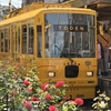 ＴＯＤＥＮ　リニューアルプロジェクト車両に乗車（三ノ輪橋電停で花を添えられる？）