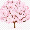 🌸🌸🌸【桜開花宣言】🌸🌸🌸