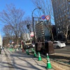 張り切って 出勤してきたよ！