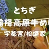 【宇都宮/松廼家】駅弁誕生130周年記念「とちぎ霧降高原牛めし」ブランド牛弁当だぞ