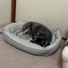 初対面の友人とのおだやかな時間