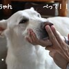 新年会