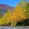 フォト・ライブラリー(474)蒜山研修会2014〜蒜山・大山スカイライン