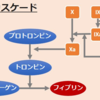 FDPとDダイマーの違い