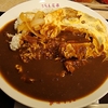 かつ丼カレー大盛