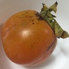 津山のづくし柿。