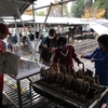 雨の中での「たのせふるさと祭り」