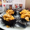 青森県浅虫/【青森ランチ】正立食堂さんのうに御膳を食べて来ました。