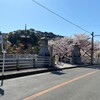 2020年春、今年も桜が満開です(171)