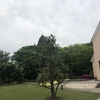 総会資料のチェックと支部総会