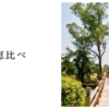 知恵比べ