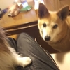 夫婦二人になって