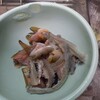 捌くのもタノシぃぃぃぃぃぃ！のであります！