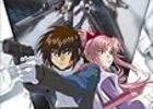 機動戦士ガンダムSEED DESTINY最終回　〜総括・肯定評