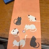 ネコ歩きには癒されますよね〜