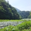 2016/06/04-05 青野原オートキャンプ場 1日目