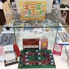 ｷｯｽﾞ用メガネ取扱いございます♪//渋川店