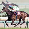 皐月賞に出てない馬の中でダービーでジャスティンミラノに勝てそうな馬