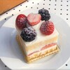 いちごのケーキが美味しい！【ラトリエ ドゥシュクル 】江戸川区小旅行・Part３・小岩