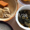 3月28日食事昼写真