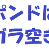 ポンドはガラ空き