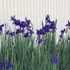 土に帰る手続き