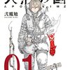 あらすじ紹介「人形の国」1巻発売しました！