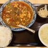 辛いもの好きな人に必見！めちゃ辛い麻婆豆腐がたべれる「ぎょうざとマーボー渋谷餃子野田食堂」