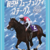 朝日杯フューチュリティステークス2023ポスター＆レープロ