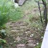 庭の草刈り