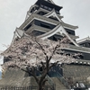 桜の旅　2日目　熊本県