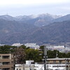 2022/01/22 （土）  思い出はいつかまだらになって消えてゆくのだ