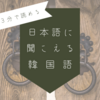 【韓国語コラム】日本語にすると面白く聞こえる韓国語【マジマグロ】