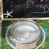 かわいさで選んではだめ？犬の食器の選び方